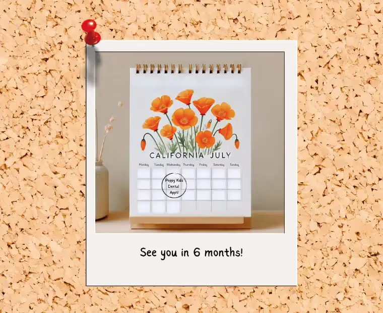 A desktop calendar featuring a floral illustration for July with a circled date marked "Poppy Kids Dental Appt." pinned to a corkboard. Below the calendar, text reads, "See you in 6 months!"